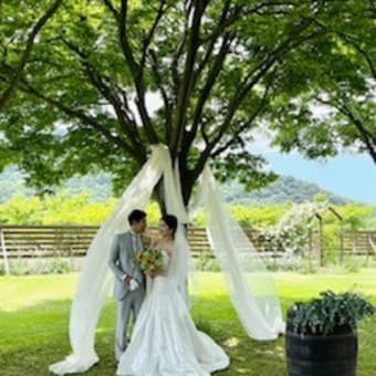 CAVE D’OCCI　Wedding…23.6.3 