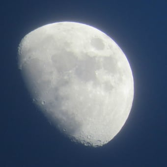 寒中の夕月