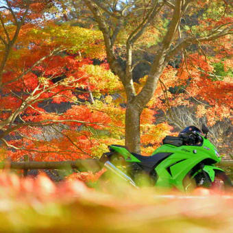 正法寺の紅葉