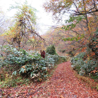 二軒小屋から十方山林道を歩いて広見まで