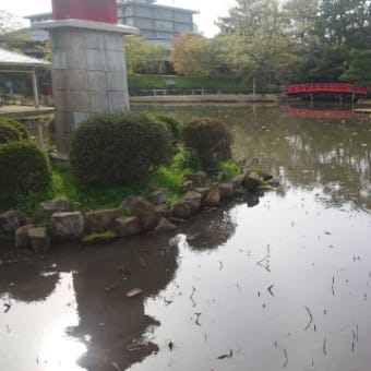 2024年・春の白山神社参拝