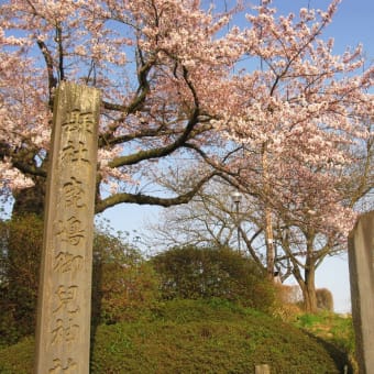 あの日のまちかど第20景 石巻城址