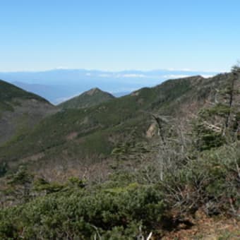 1028権現岳  天女山から往復