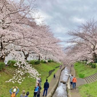 今年も無事に