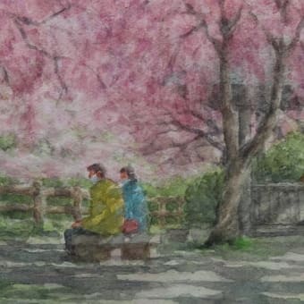 絵「川辺の桜」 - 水彩・絵Say集「光と風と野草ちゃん♪」