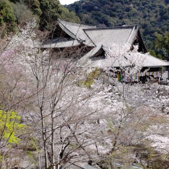 ４月１日～４月３０日　トレーニング