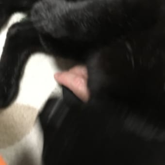 くろちゃん