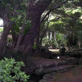 薗家の庭園