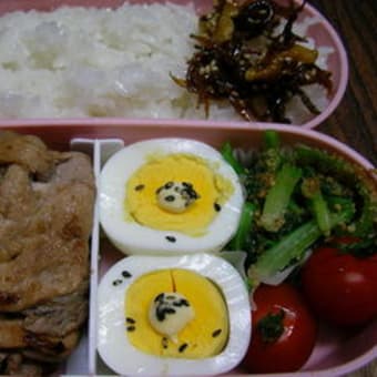 今日のお弁当