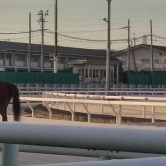 兵庫クイーンカップ、行ってきました。