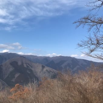 都民の森(22回目)～鶴峠～甲武トンネル
