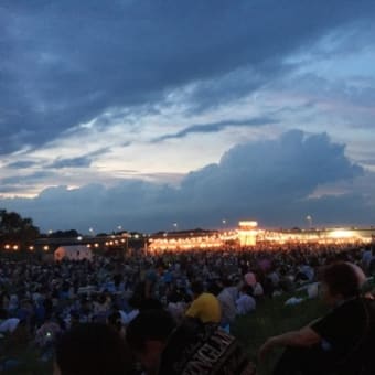 わんこと夏のお出かけ　花火とひまわり