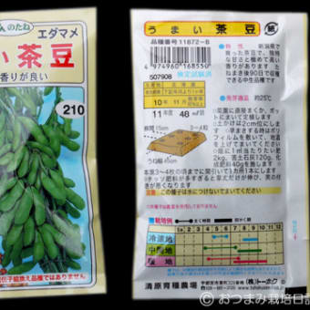 2011年5月5日のベランダ