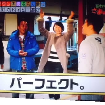 発泡スチロールで…
