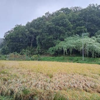 気候変動で生活も変動