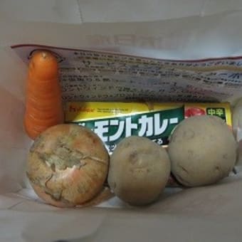 日々グダグダ・・・あぁ８月が終わってしまう