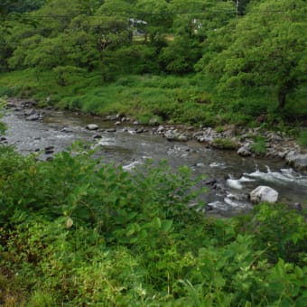 荘川水系２日目