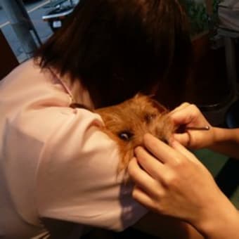 検診