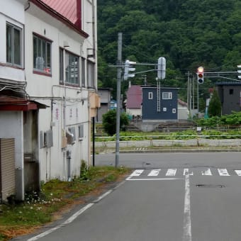 本日の写真