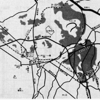 泥炭地盤は良く揺れる？