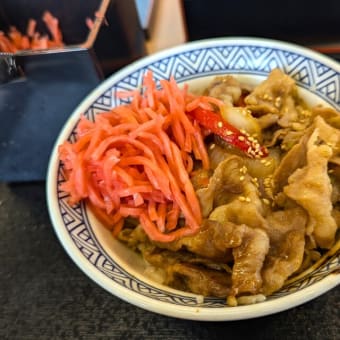 吉野家＠全国各地　期間限定『牛プルコギ丼』を頂きました！「成型肉」のお味は如何に？！