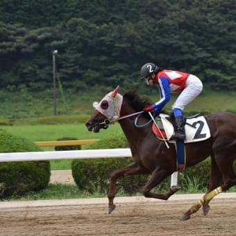 佐賀～長崎をウロウロドライブ！（１日目、佐賀編）