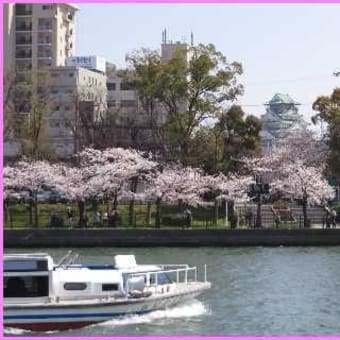 「桜ノ宮」から満開の大川河畔を歩く（3）