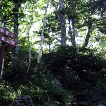 今更2010年　ですが予告通り　白雲山