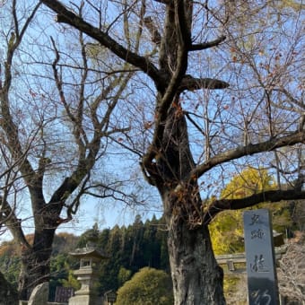 2021年11月ワンコと那須旅行　伊王野〜白河