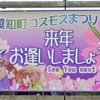 越知町コスモスまつり　来年お逢いしましょう　See You next Year !