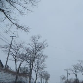 やっと雪景色に