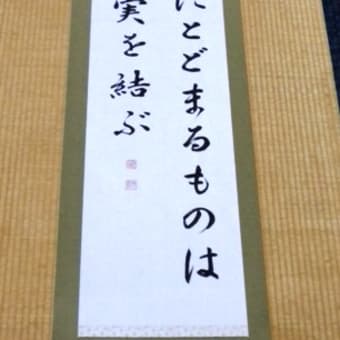 毎週の一言　Ａ年　年間第九主日