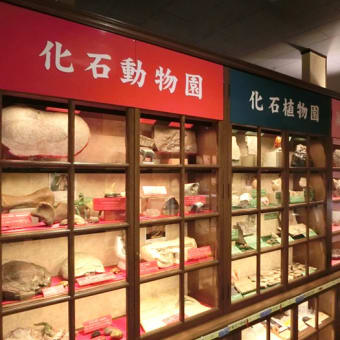 静岡県 in ドクターイエロー　２