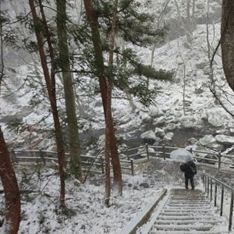 アウトレットと、雪の舞う乙女の滝【２０２４年・栃木那須旅行】