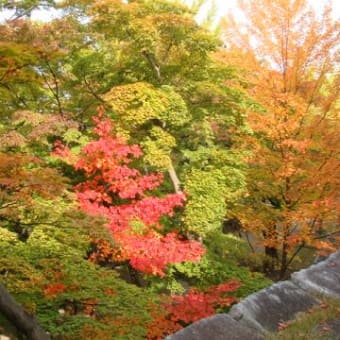 城跡公園の紅葉