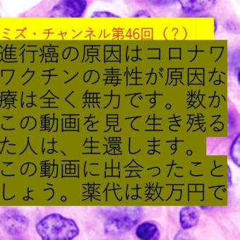 2024.9.11リチャード・コシミズ・チャンネル第46回（？）20：00～