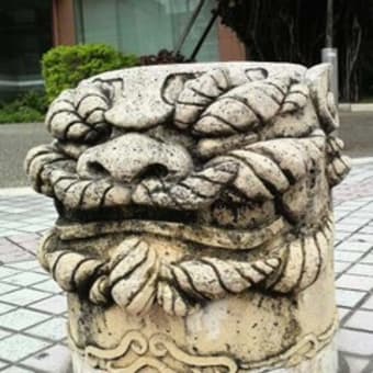 こんどは沖縄！