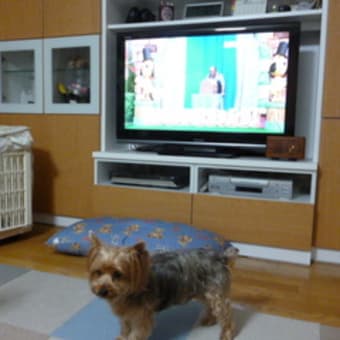 参加することに意義がある
