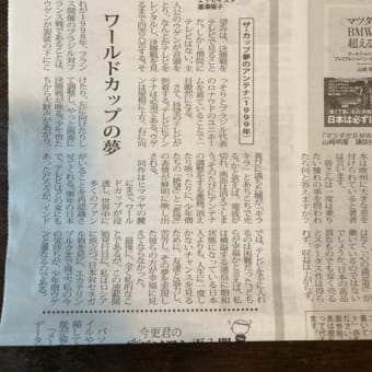 6月23日から、「船橋よみうり」にて、映画コラムの連載が始まりました。