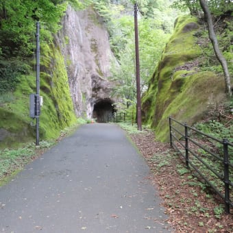 鬼怒楯岩大吊橋