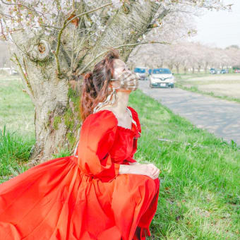 桜お花見