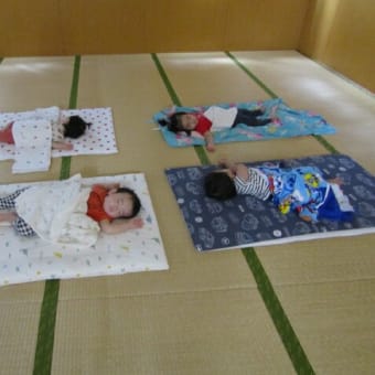 スヤスヤと・・💤