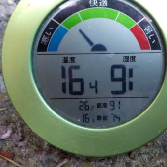 令和7年6月27日・今朝の東祖谷19℃（16.4℃）