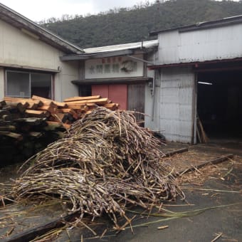 奄美大島の2日間探訪