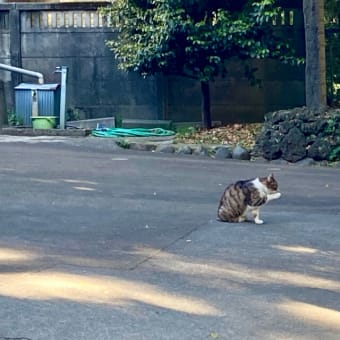 -カラダは今に触れる装置- 呼吸のヨガ 京都&新大阪&中津 7/7(月)、7/8(火)、7/9(水)、7/11(金)、