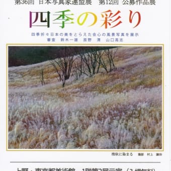 第３６回「日本写真家連盟展」(2024年)の開催案内