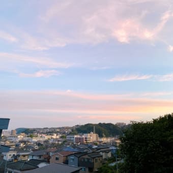 蓮の花見ラン☆