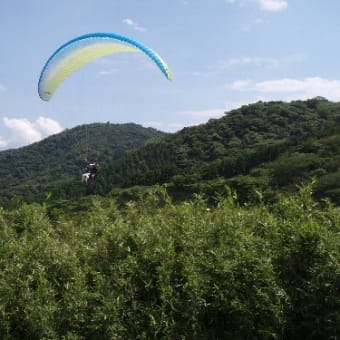 夏空に飛ぶ