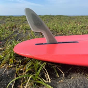 フィン付き 送料込み エリスエリクソン Ellis Ericson エッジ