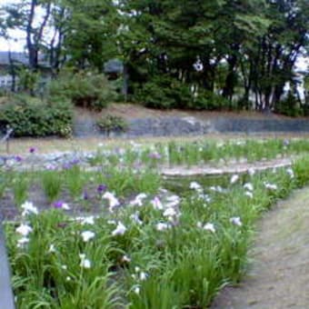 堺　街角　ミュージアム/公園探検/さり気なく栄枯を偲ぶ/ 大浜公園